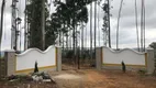 Foto 20 de Fazenda/Sítio com 4 Quartos à venda, 430000m² em Centro, Ibertioga