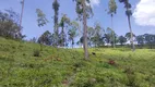 Foto 5 de Lote/Terreno à venda, 36000m² em Zona Rural, Delfim Moreira