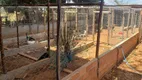 Foto 12 de Fazenda/Sítio com 2 Quartos à venda, 15000m² em Residencial Jardins do Cerrado 3, Goiânia