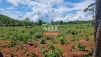 Foto 17 de Fazenda/Sítio à venda em Zona Rural, Niquelândia