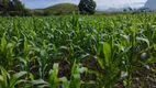 Foto 16 de Fazenda/Sítio à venda, 1452000m² em Niteroi, Atilio Vivacqua