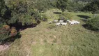 Foto 9 de Fazenda/Sítio com 8 Quartos à venda, 4300000m² em Centro, Pimenta Bueno