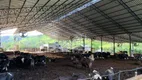 Foto 8 de Fazenda/Sítio com 6 Quartos à venda, 5000m² em Area Rural de Itajuba, Itajubá