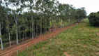 Foto 20 de Fazenda/Sítio à venda, 1000000m² em Zona Rural, Caçu