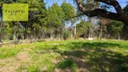 Foto 33 de Fazenda/Sítio com 3 Quartos à venda, 5000m² em Recanto dos Juritis, Sorocaba