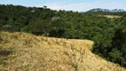 Foto 8 de Fazenda/Sítio à venda, 30000m² em Centro, São Luiz do Paraitinga