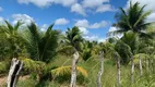 Foto 9 de Fazenda/Sítio com 4 Quartos à venda, 40000m² em Centro, 