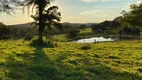 Foto 4 de Fazenda/Sítio com 3 Quartos à venda, 32m² em Setor Central, Jaraguá