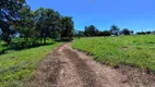 Foto 19 de Fazenda/Sítio com 3 Quartos à venda, 100m² em Zona Rural, Caldazinha