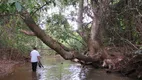 Foto 15 de Fazenda/Sítio à venda em Centro, Bela Vista de Goiás