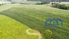 Foto 7 de Fazenda/Sítio com 4 Quartos à venda, 246400m² em Zona Rural, Pilar do Sul