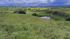 Foto 3 de Fazenda/Sítio com 3 Quartos à venda, 20000m² em Monte Alegre, Monte Alegre