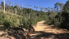 Foto 6 de Fazenda/Sítio com 1 Quarto à venda, 20000m² em Centro, Bocaiúva do Sul