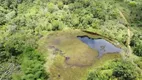 Foto 5 de Fazenda/Sítio com 4 Quartos à venda, 2100000m² em Centro, Wenceslau Guimarães