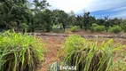 Foto 21 de Fazenda/Sítio com 4 Quartos à venda, 100m² em Serra Azul, Mateus Leme