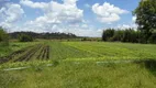 Foto 32 de Fazenda/Sítio com 2 Quartos à venda, 25000m² em Votorantim, Ibiúna