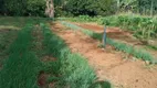 Foto 6 de Fazenda/Sítio com 3 Quartos à venda, 50000m² em Brazlândia, Brasília