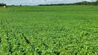 Foto 3 de Fazenda/Sítio com 3 Quartos à venda, 70m² em Zona Rural, Canarana