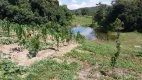 Foto 22 de Fazenda/Sítio com 3 Quartos à venda, 250m² em Zona Rural, Goianésia