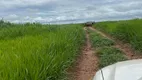 Foto 5 de Fazenda/Sítio com 3 Quartos à venda, 3150m² em Zona Rural, Paranatinga
