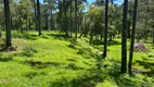 Foto 4 de Lote/Terreno à venda, 20000m² em Sao Pedro, Urubici