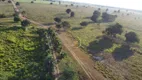 Foto 6 de Fazenda/Sítio à venda, 15972000m² em Zona Rural, Britânia