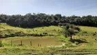 Foto 9 de Fazenda/Sítio à venda, 48400m² em Zona Rural, Porto Feliz