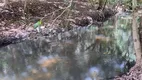 Foto 14 de Fazenda/Sítio com 3 Quartos à venda, 20000m² em Povoado Punau, Rio do Fogo