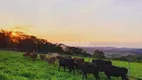 Foto 5 de Fazenda/Sítio com 3 Quartos à venda, 100m² em Rio do Salto, Cascavel