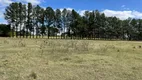 Foto 2 de Lote/Terreno para alugar, 21000m² em Vila Azul Zona Rural, São José do Rio Preto