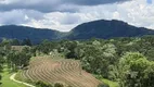 Foto 27 de Fazenda/Sítio com 2 Quartos à venda, 450000m² em Centro, Rio Rufino