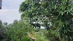 Foto 3 de Fazenda/Sítio com 4 Quartos à venda, 145m² em Paranaíba, Ituiutaba