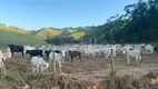 Foto 20 de Fazenda/Sítio com 3 Quartos à venda, 1000m² em Boa Esperança, Rio Bonito