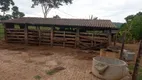 Foto 8 de Fazenda/Sítio à venda, 40000m² em Zona Rural, Avelinópolis