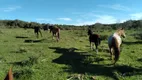 Foto 2 de Fazenda/Sítio com 3 Quartos à venda, 2600000m² em Centro, Bagé