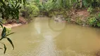 Foto 8 de Fazenda/Sítio à venda, 20000m² em Centro, Corumbá de Goiás