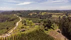 Foto 17 de Fazenda/Sítio com 3 Quartos à venda, 200m² em Tres Corregos, Campo Largo