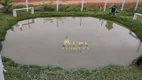 Foto 12 de Fazenda/Sítio com 2 Quartos à venda, 2100m² em Escalvado, Navegantes