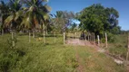 Foto 11 de Fazenda/Sítio à venda, 74000m² em Zona Rural, Conde