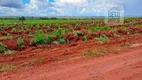 Foto 11 de Fazenda/Sítio à venda, 144560000m² em Setor Central, Wanderlândia