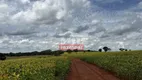 Foto 15 de Fazenda/Sítio à venda, 411m² em Zona Rural, Santa Cruz de Goiás