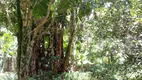 Foto 6 de Fazenda/Sítio com 2 Quartos à venda, 2800m² em Parque Guarani, Juiz de Fora