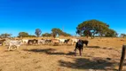 Foto 26 de Fazenda/Sítio com 8 Quartos à venda, 500000m² em Zona Rural, Luziânia