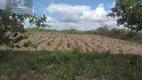 Foto 10 de Fazenda/Sítio com 3 Quartos à venda, 27000m² em Centro, Macaíba