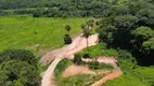 Foto 5 de Lote/Terreno à venda, 20000m² em Zona Rural, Florestal