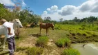 Foto 23 de Fazenda/Sítio com 1 Quarto à venda, 65m² em Chácara Itamarati, Caçapava