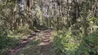 Foto 3 de Lote/Terreno à venda em Zona Rural, Urubici