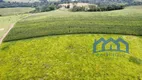 Foto 11 de Fazenda/Sítio com 4 Quartos à venda, 246400m² em Zona Rural, Pilar do Sul
