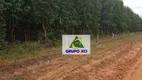 Foto 26 de Fazenda/Sítio à venda, 63000000m² em Zona Rural, São Romão