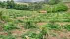 Foto 9 de Fazenda/Sítio com 4 Quartos à venda, 100m² em Macuco, Valinhos